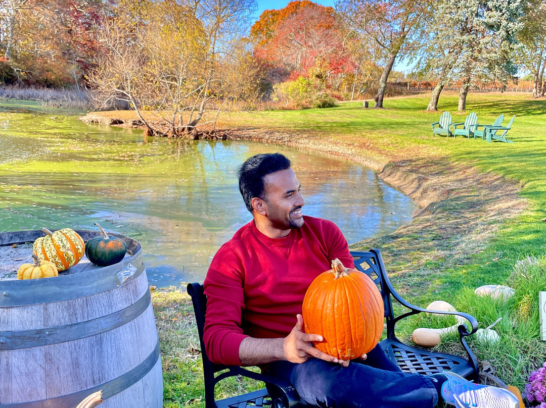 Pugliese Vineyards-Cutchogue必去景点