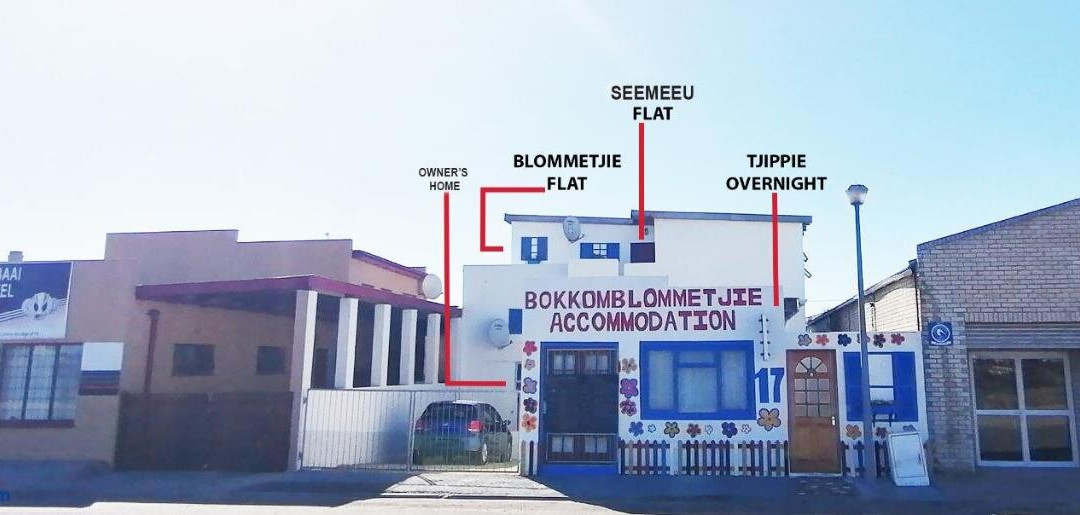 Bokkomblommetjie
