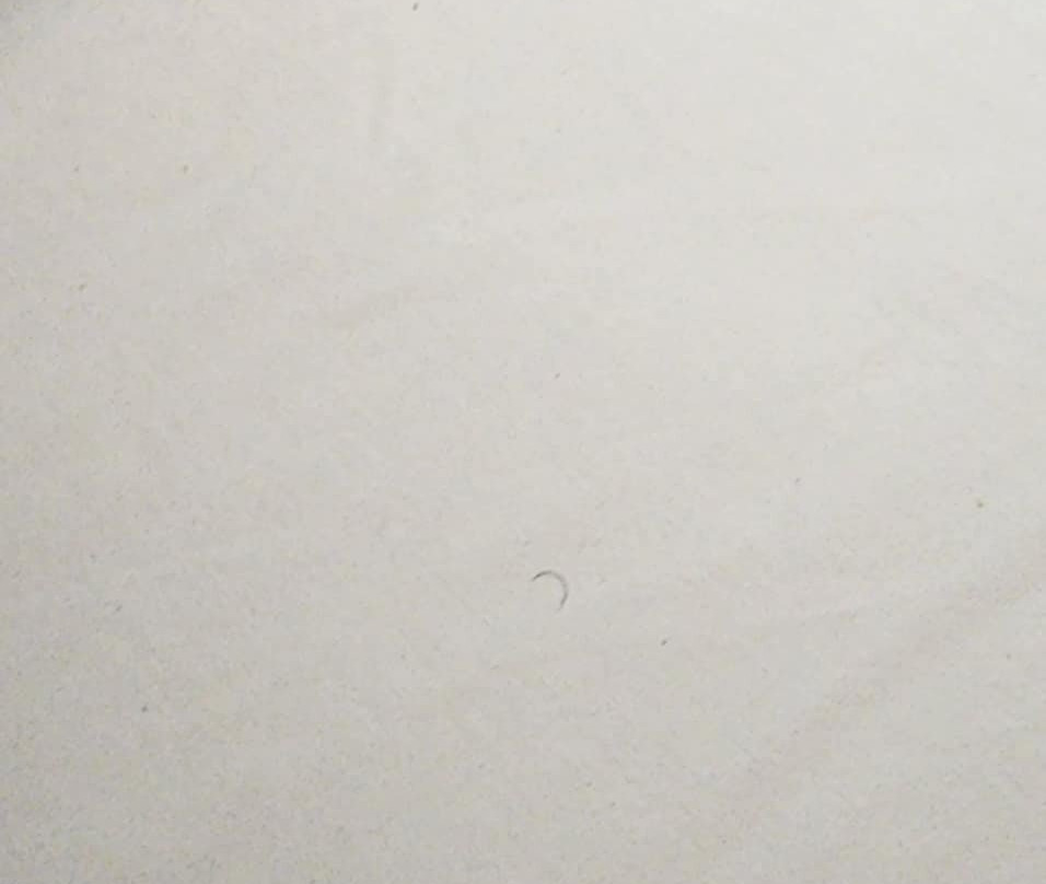 Baymont by Wyndham Erie主图