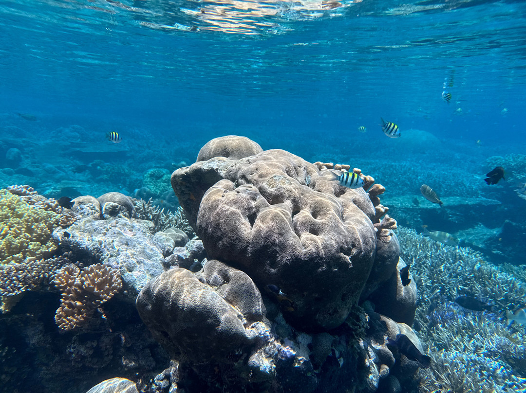 Scubaspa ZEN Indonesia-登巴萨必去景点