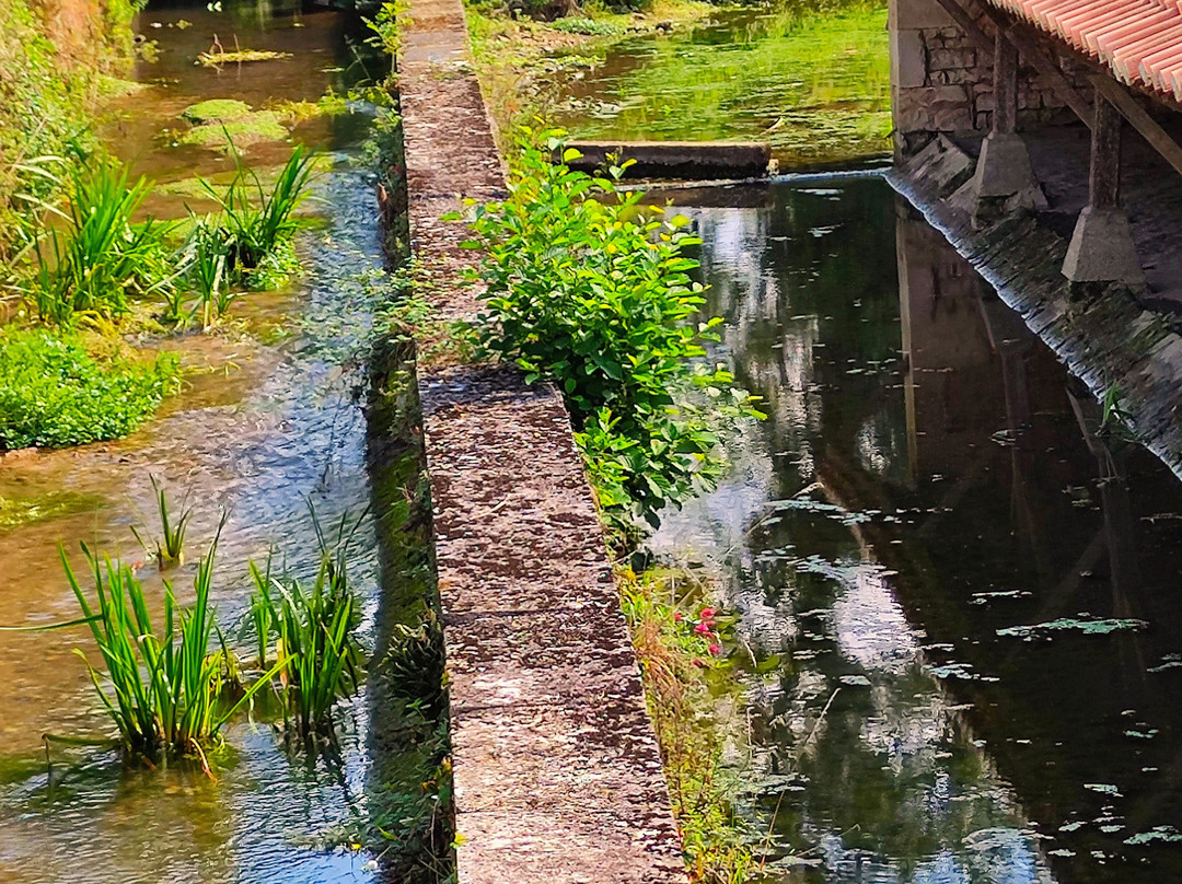 Lavoir De Charroux景点图片