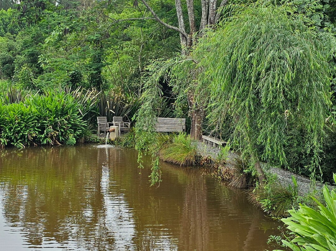 Estudio Domingos Totora-Maria da Fe必去景点