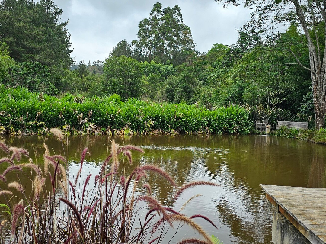 Estudio Domingos Totora-Maria da Fe必去景点