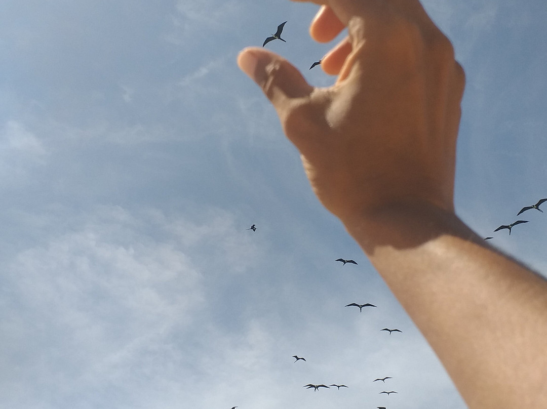 Isla Iguana-Pedasi必去景点