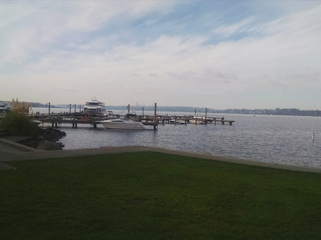 Marina Park-柯克兰必去景点