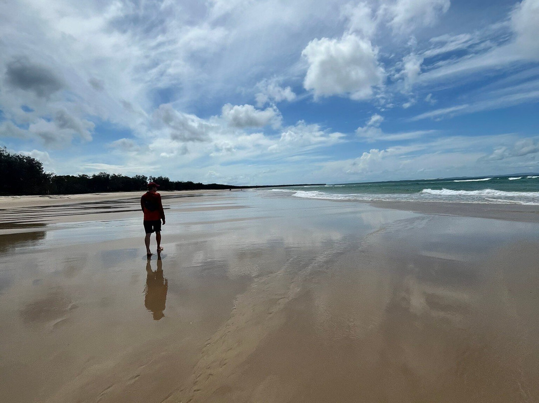 Straddie Kingfisher Tours景点图片