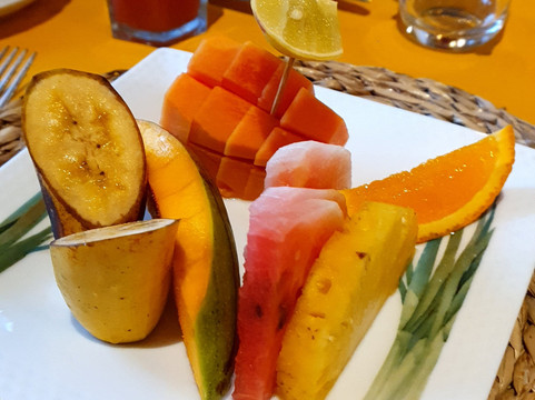 大康提别墅主图