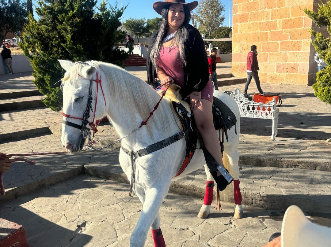 Santuario de Plateros-Fresnillo必去景点