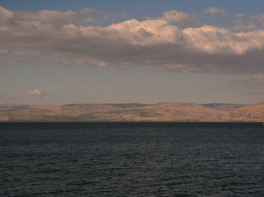 City Stay Tiberias主图