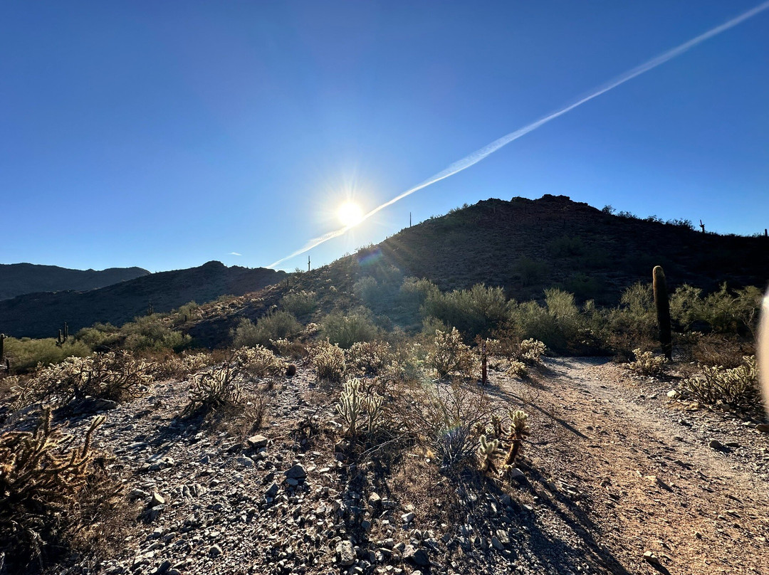 Wild Bunch Desert Guides Llc-斯科茨代尔必去景点