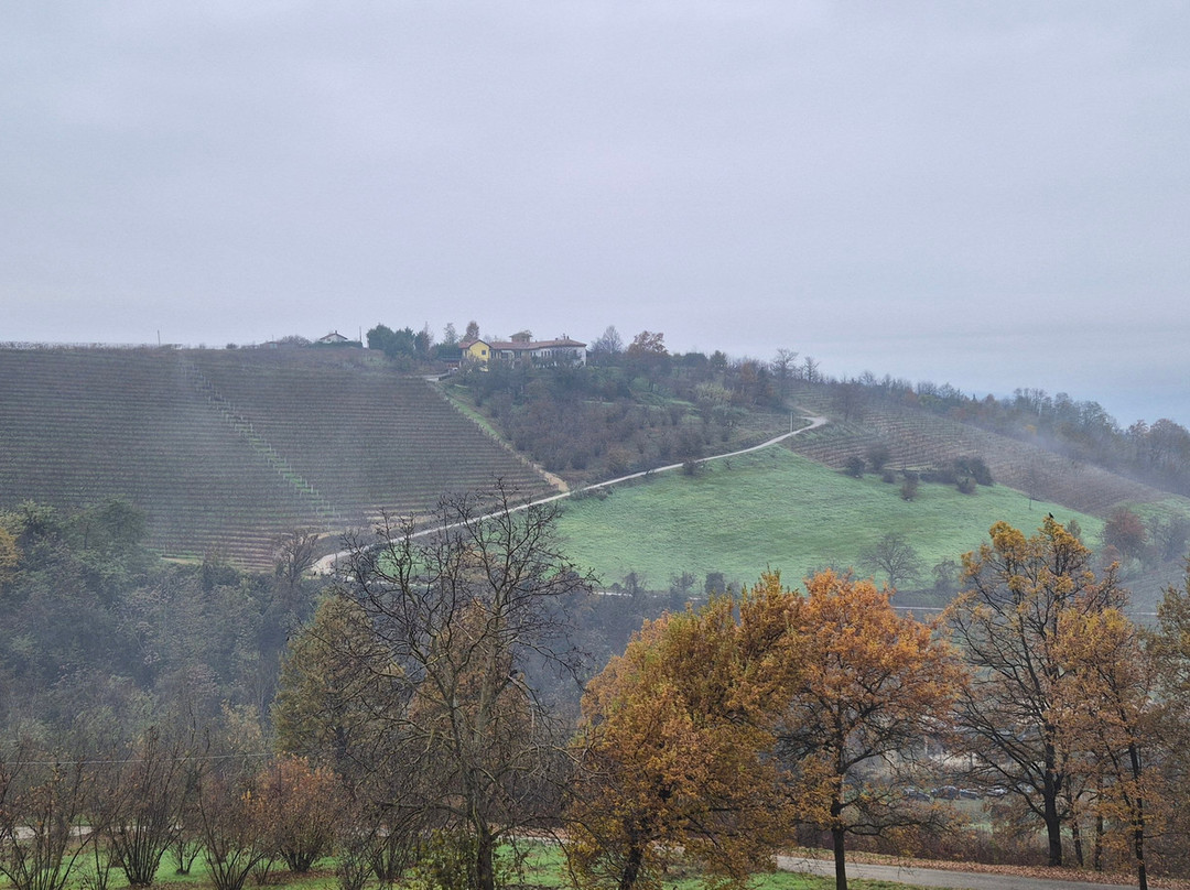 Agriturismo Paitin主图