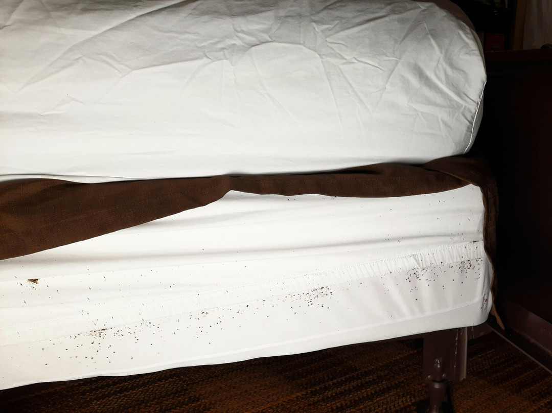 Extended Stay America - Chicago - Gurnee主图