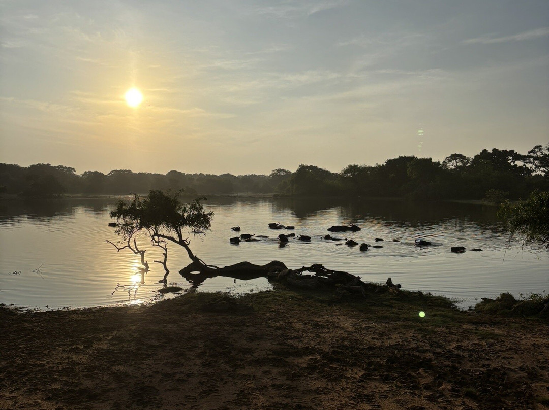 Visit Lanka Travel & Tours景点图片