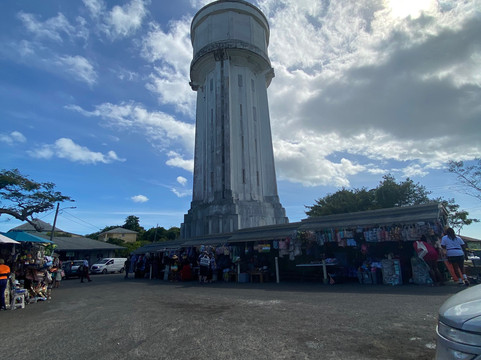 Simply Dave Nassau Tours-拿骚必去景点