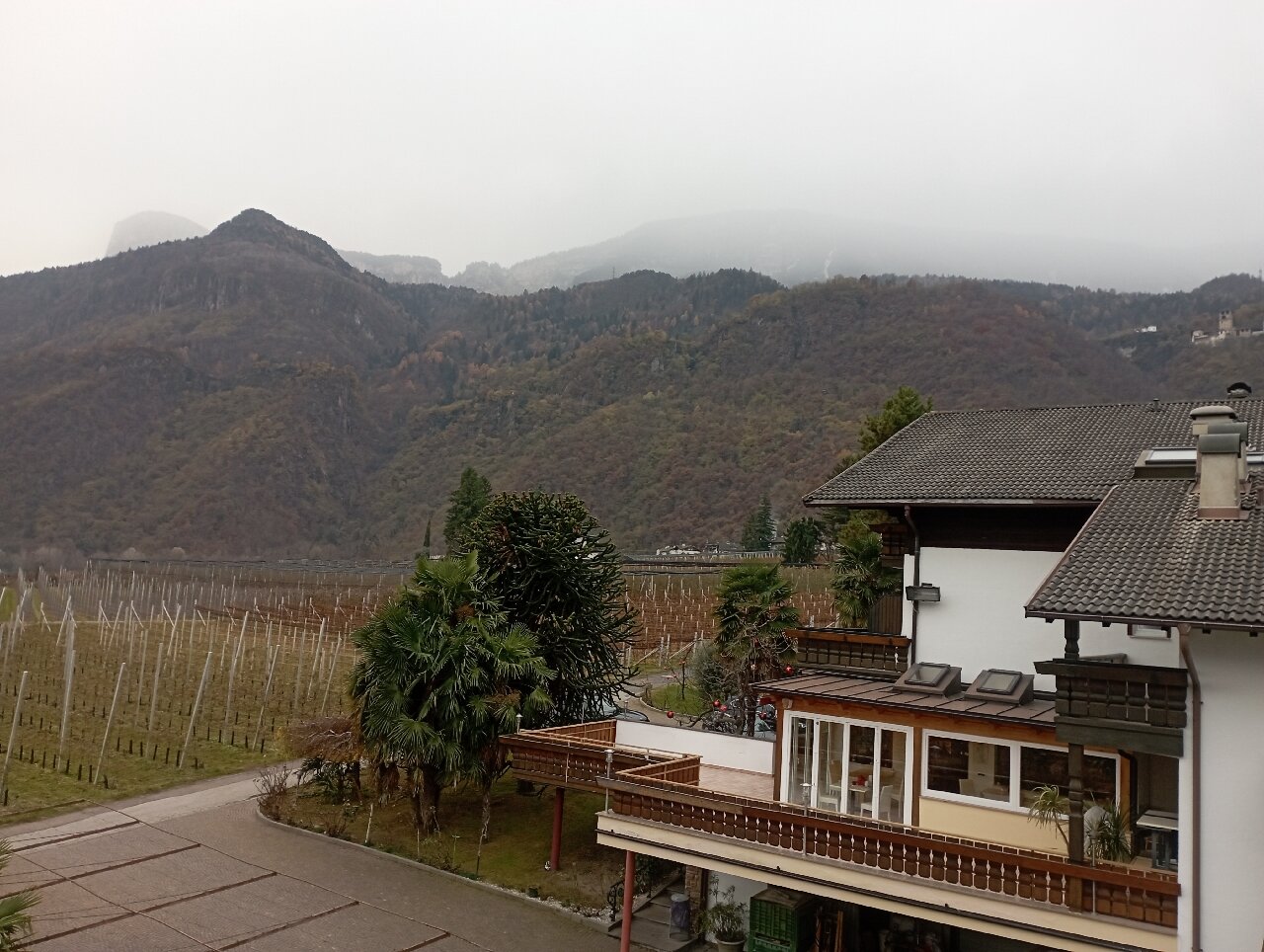 Hotel Traubenheim-官方