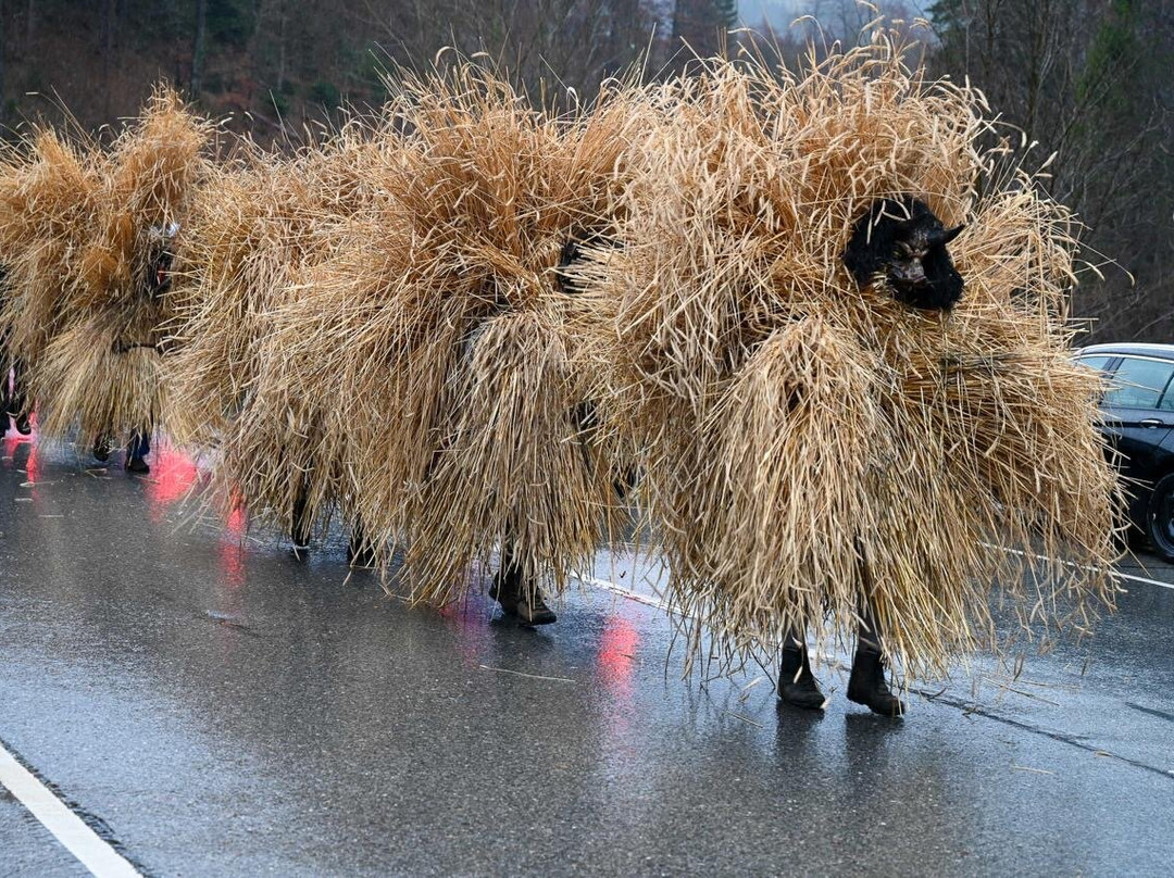 All Things Garmisch - Day Tours-加米许-帕坦克辛必去景点
