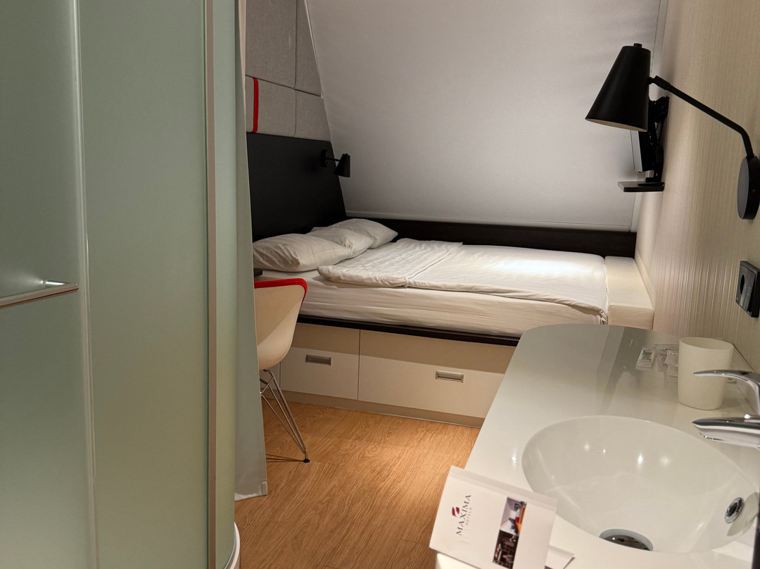 Maxima Domodedovo Airport Hotel主图