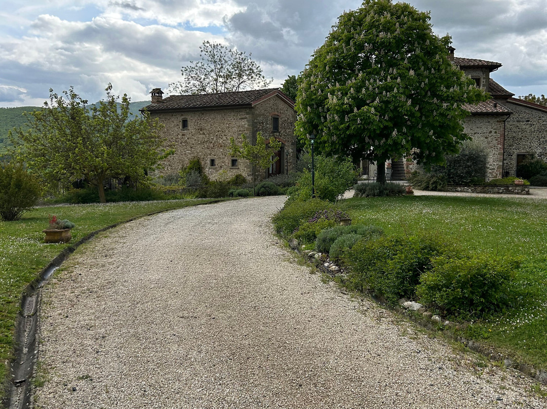 Il Cardo Resort主图