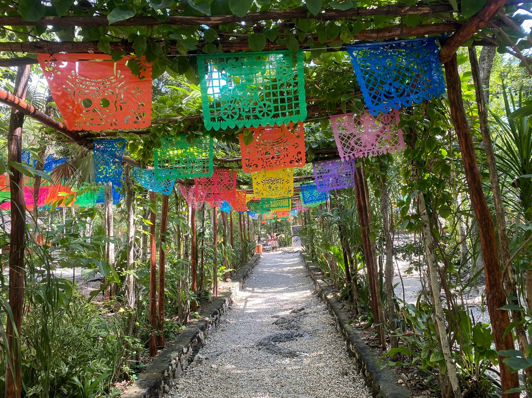 Cenote Calavera-图伦必去景点