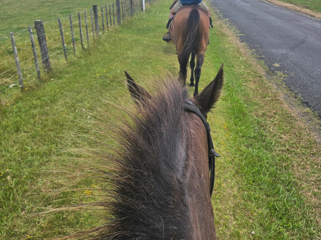 Horse Trek'n-派希亚必去景点
