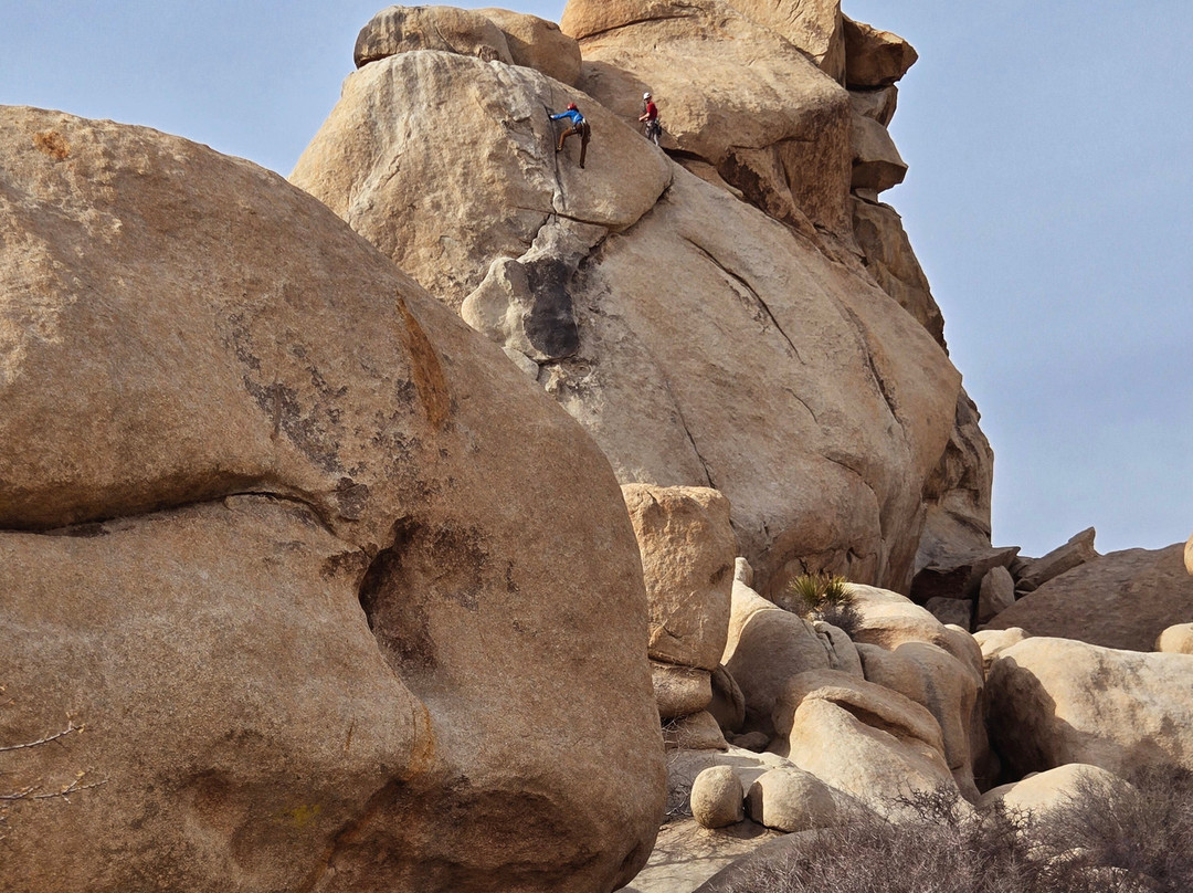 Joshua Tree Visitor Center-约书亚树必去景点