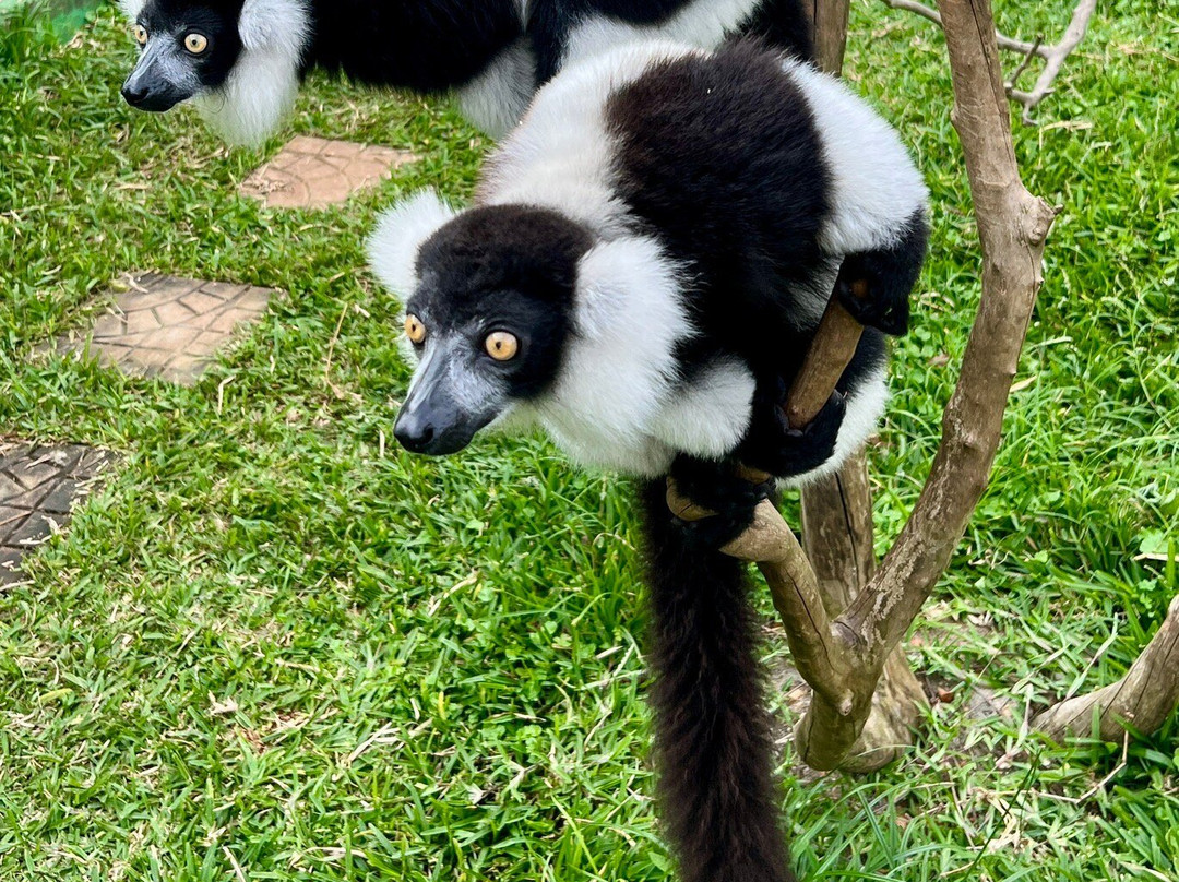 Private Zoo in Uganda