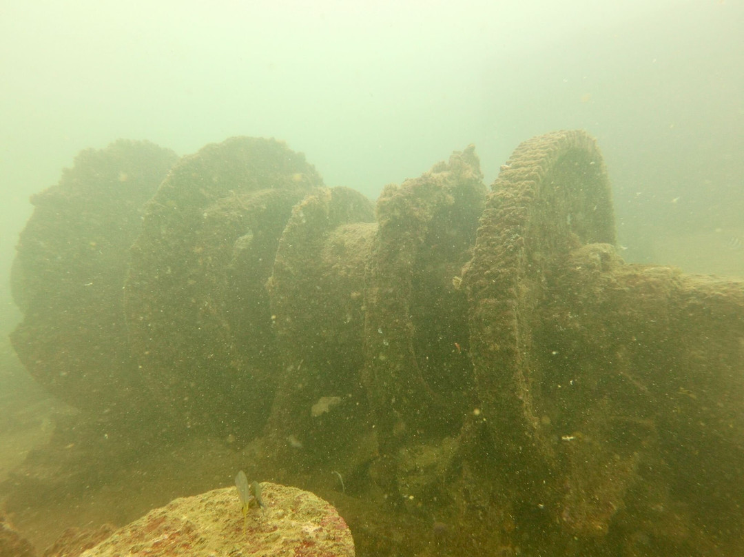 Island Scuba-科伦坡必去景点