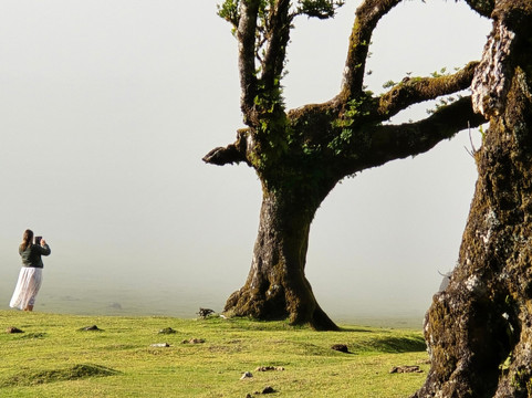 The Big Adventure Madeira-沙尔必去景点