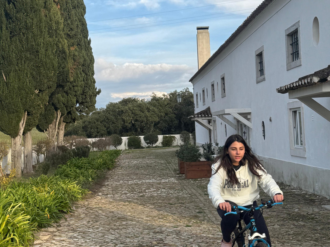 Hotel Casa Palmela主图