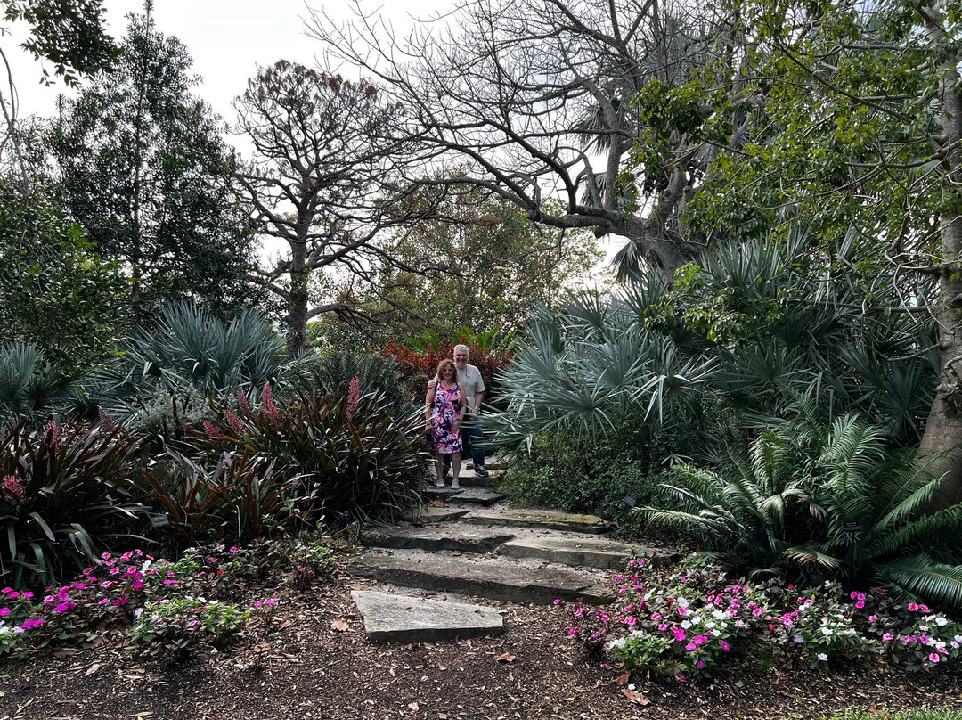 Mounts Botanical Garden景点图片