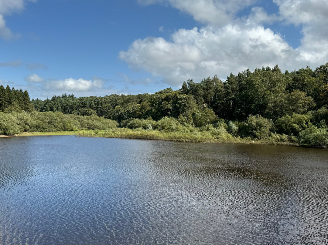 Fewston Reservoir-Fewston必去景点