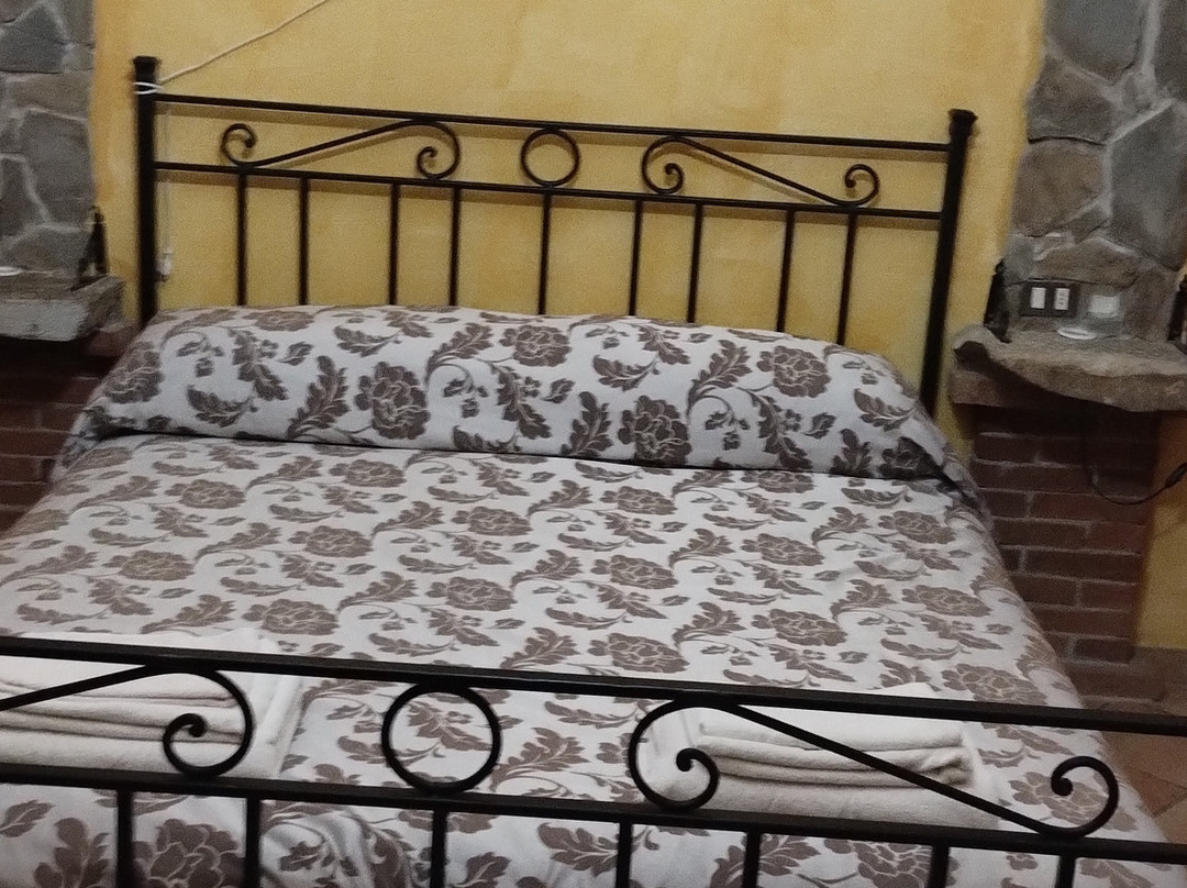 Agriturismo La Contessa Quarter Horse主图