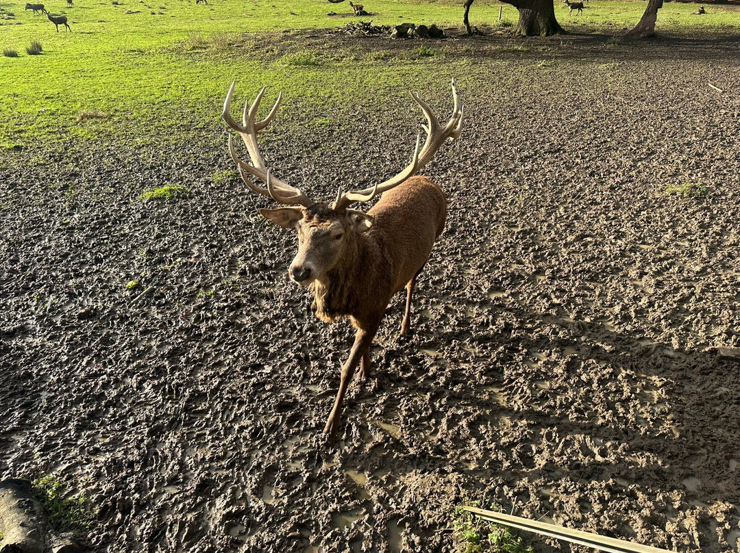 Essex Wildlife Trust Bedfords Park Visitor Centre景点图片