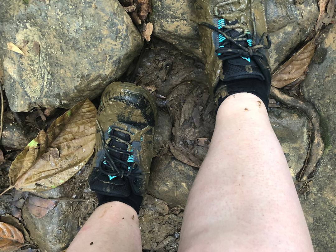 Saut des Trois Cornes-Sainte Rose必去景点