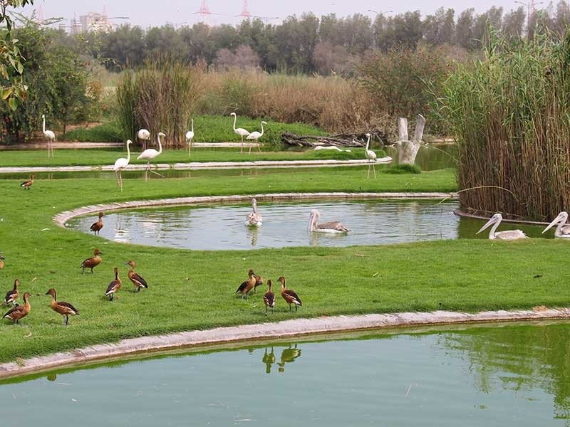 Sharjah National Park-沙迦必去景点