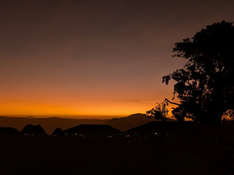 Togola Safaris And Adventure-阿鲁沙必去景点