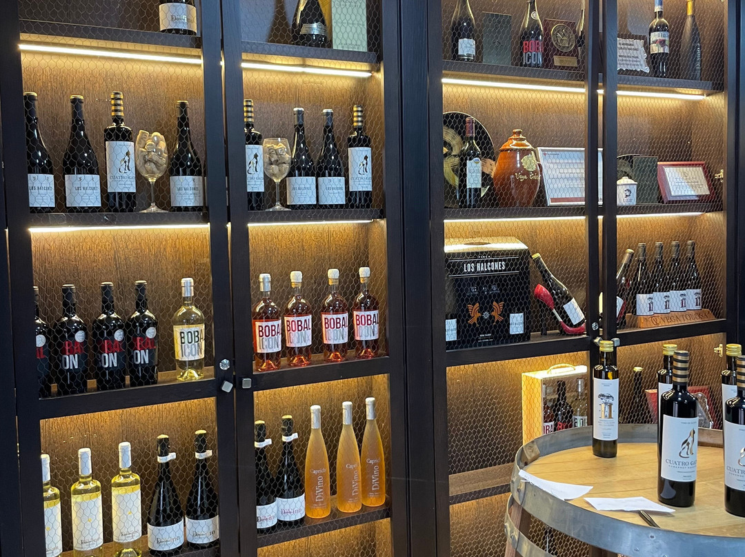 Bodega Vega Tolosa-Casas Ibanez必去景点