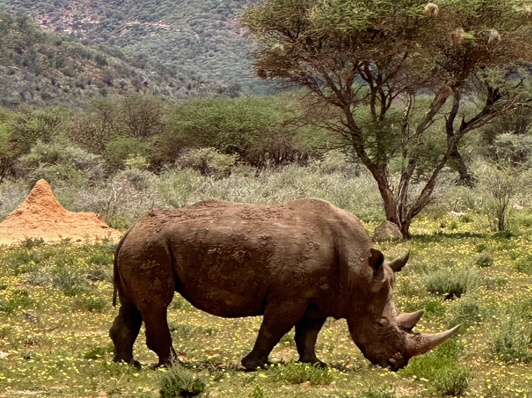 Lark Journeys-温德和克必去景点