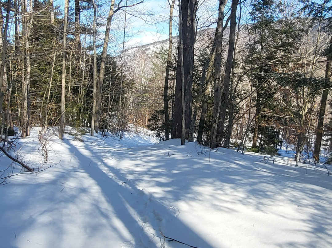 The Notchland Inn主图