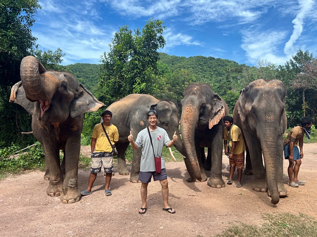 Pattaya Elephant Sanctuary-Bang Sare必去景点