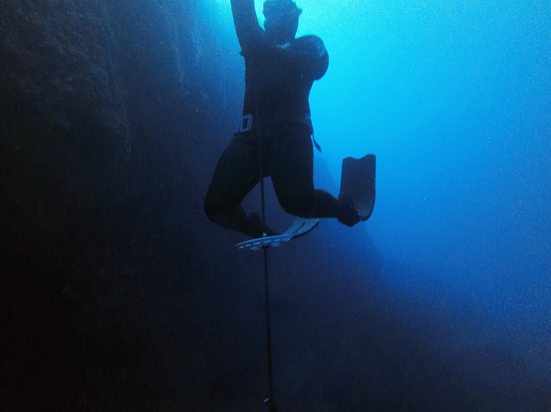 Apnea Total Malta - Freediving School-圣保罗湾城必去景点