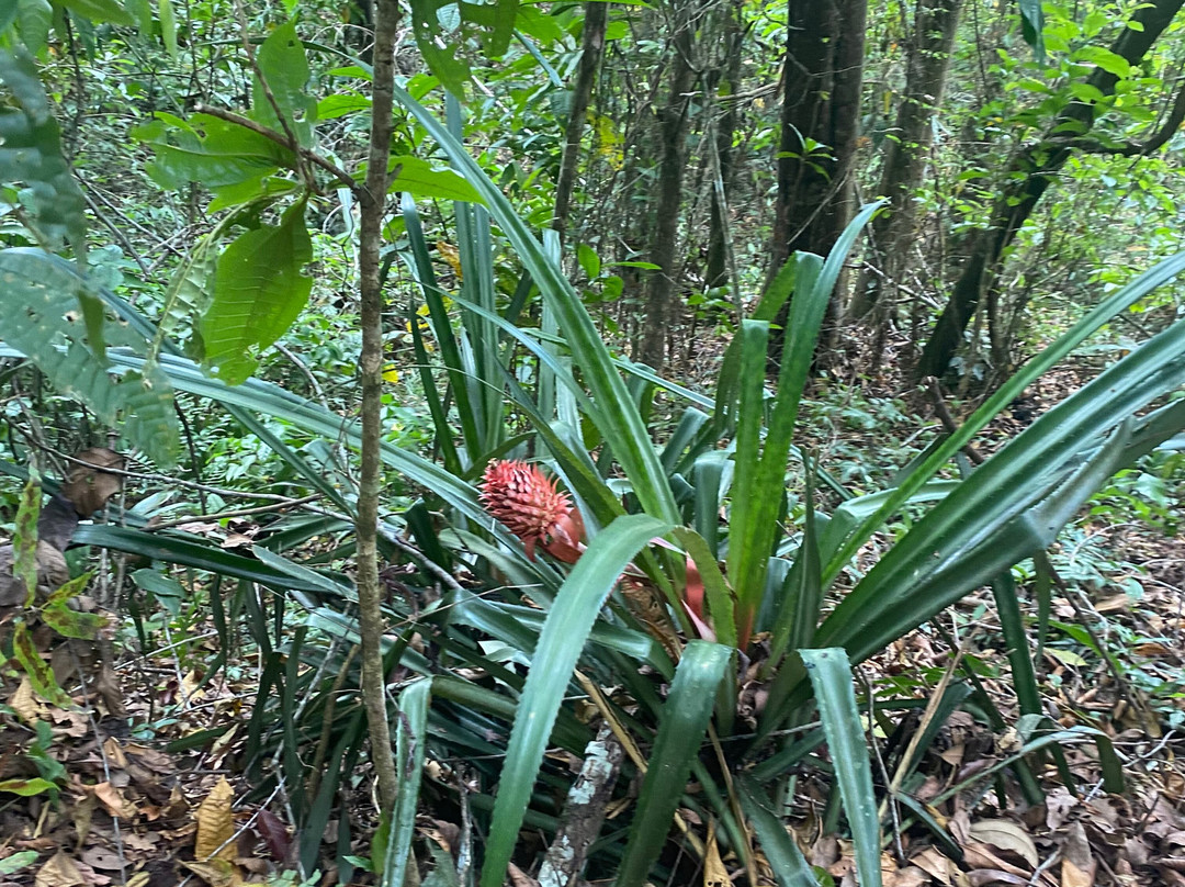 Fazenda Yrere-Ilheus必去景点