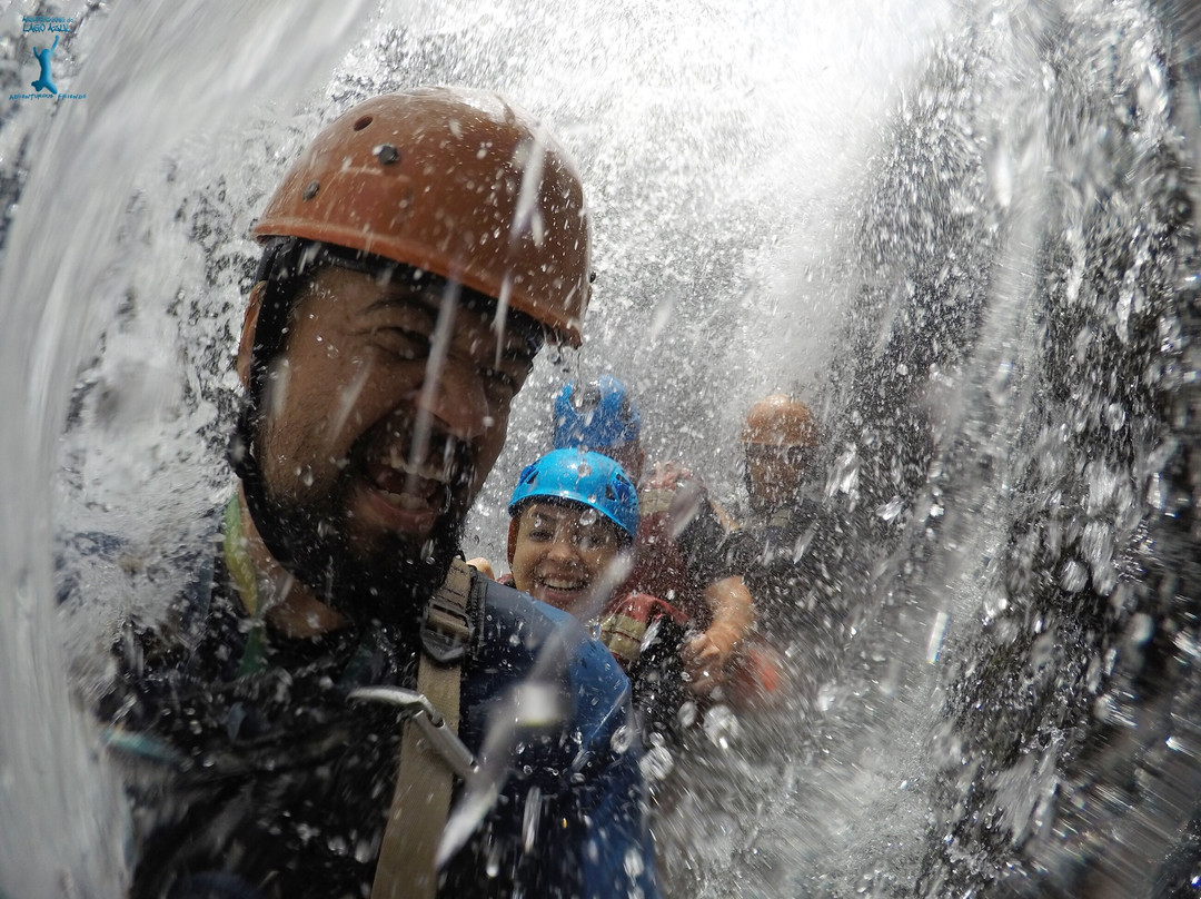 Adventurous Friends景点图片
