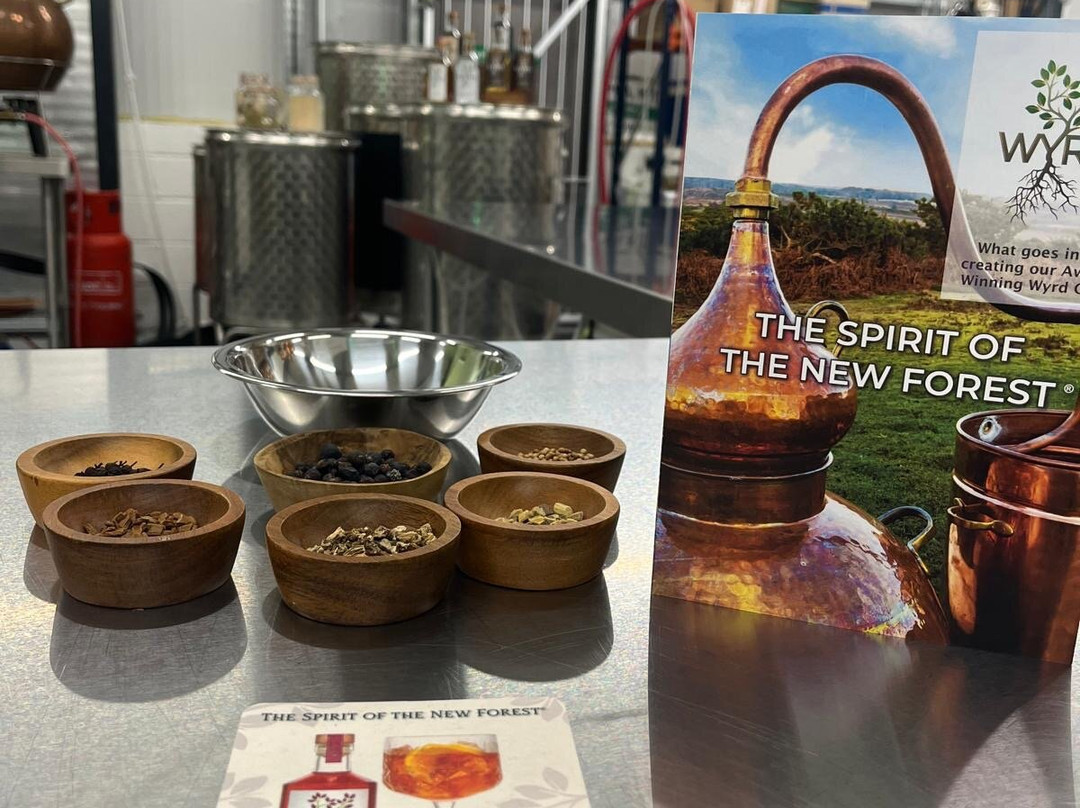 New Forest Spirits景点图片