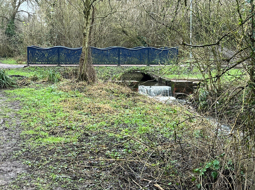 Caldy Nature Park-切斯特必去景点