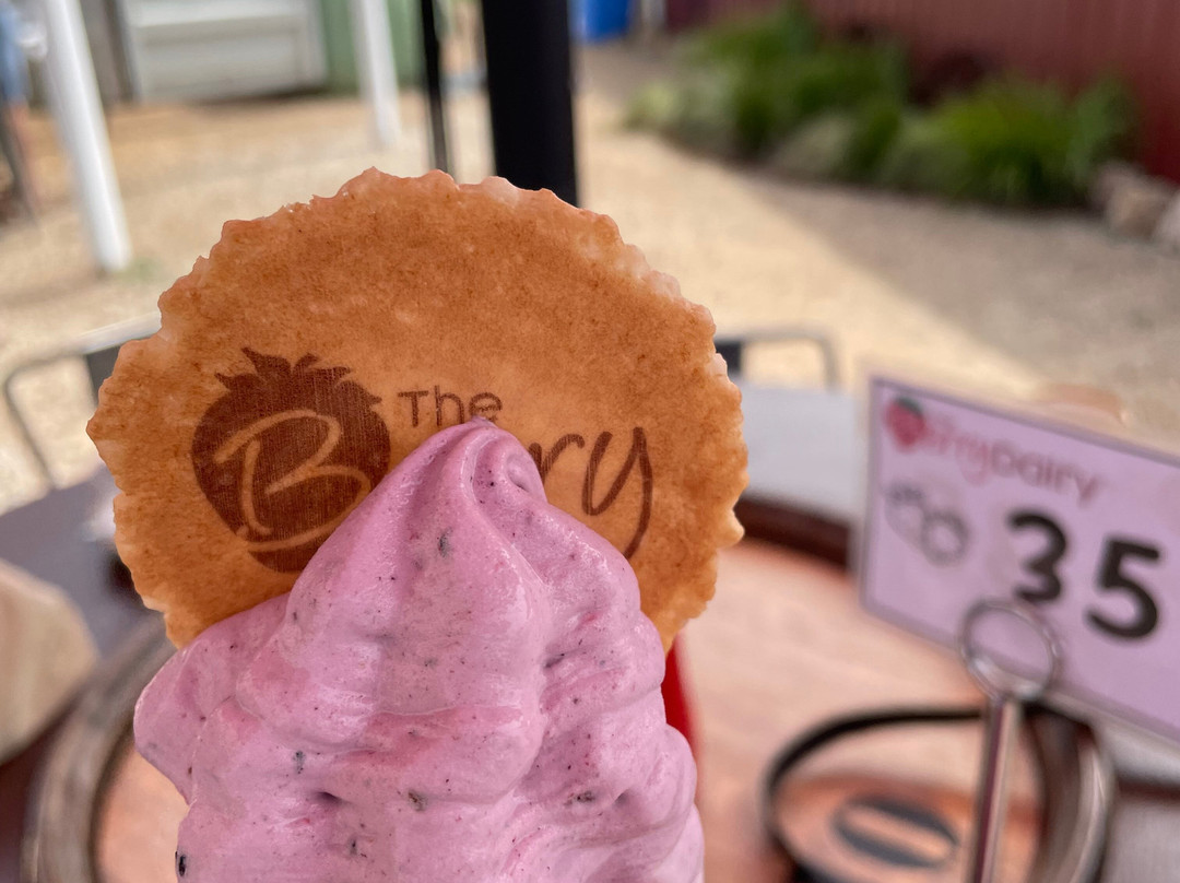 The Berry Dairy-Maffra必去景点