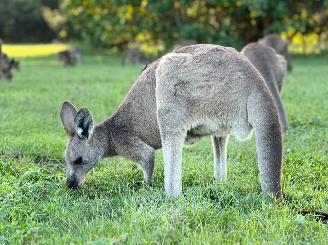 Coombabah Lakes Conservation Area-Coombabah必去景点