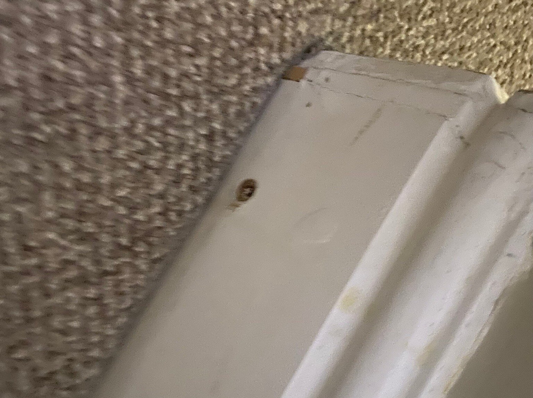 Red Lion Hotel Basingstoke主图