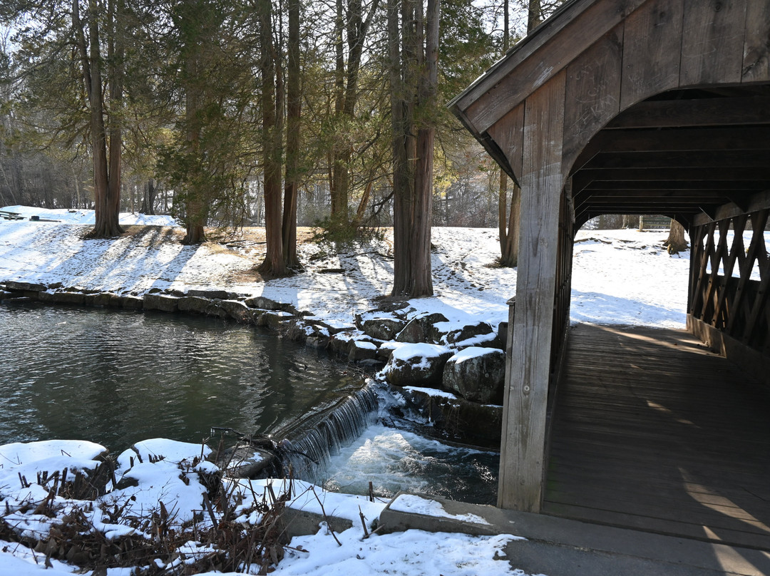 Forest Park Historic District景点图片