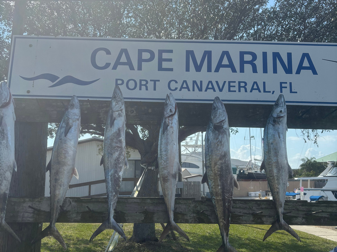 Canaveral Kings Sport Fishing Charters景点图片